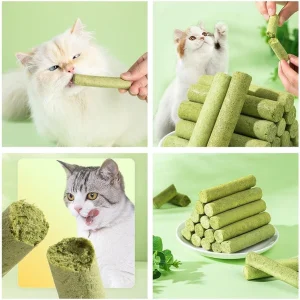 Cat Grass Teething Sticks for Hairballs & Constipation (6 Sticks Pack)
