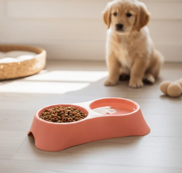 Elegant Double Bowl For Cats & Puppies - Image 2