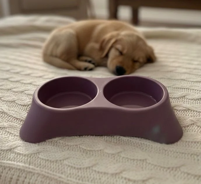 Elegant Double Bowl For Cats & Puppies - Image 5
