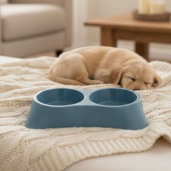 Elegant Double Bowl For Cats & Puppies - Image 4