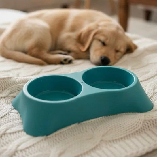 Elegant Double Bowl For Cats & Puppies